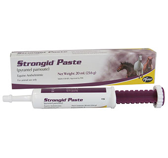 STRONGID® PASTE 20 ML