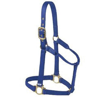 5-80 B 3-PLY NYLON HALTER WITH SOLID BRASS EYELET S BLUE