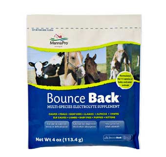 BOUNCE BACK® MULTI-SPECIES ELECTROLYTE SUPPLEMENT 4 OZ 1/PKG