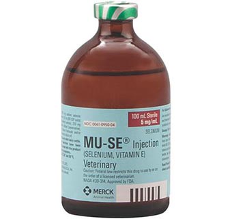 Vitamins and Minerals RX