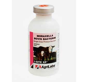 I-SITE XP MORAXELLA BOVIS BACTERIN 10 DOSE