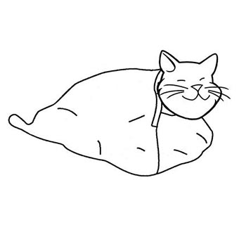 FELINE RESTRAINT BAGS LARGE