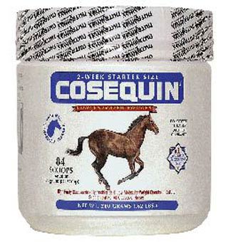 COSEQUIN® EQUINE POWDER 280 G 1/PKG