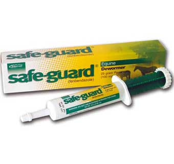 SAFE-GUARD® (FENBENDAZOLE) PASTE 10% 36/PKG