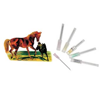 NEEDLE HYPO 20X1.5 POLY 100/PKG 26418