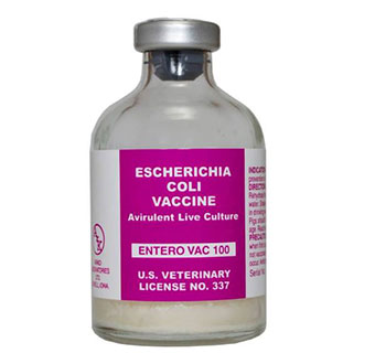 ENTERO VAC® 100 DOSE 1/PKG