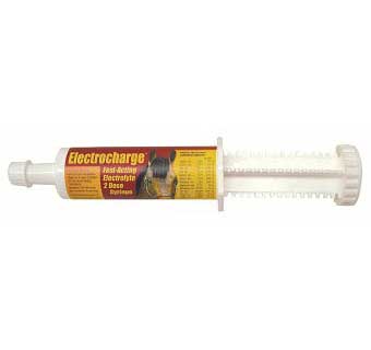 ELECTROCHARGE™ PASTE 60 CC 1/PKG