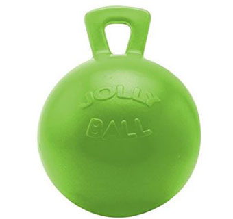 JOLLY BALL™ EQUINE - 10IN - GREEN APPLE - EACH