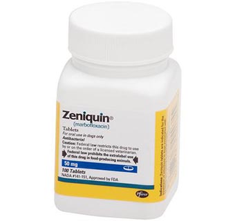 ZENIQUIN® 50 MG 100/BOTTLE (RX)