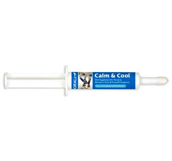DIVINE EQUINE PASTE - 34GM SYRINGE - EACH