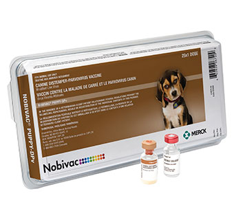 NOBIVAC® PUPPY-DPV 25 X 1 ML DOSE