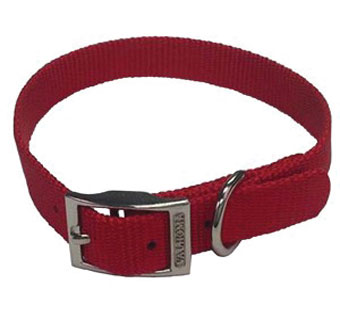 730 SINGLE LAYER DOG COLLAR 16 IN L X 3/4 IN W BLUE