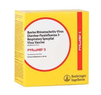PYRAMID® 5 100 ML (50 DOSES)
