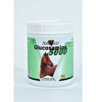 GLUCOSAMINE 5000 POWDER - 2.25LB - EACH