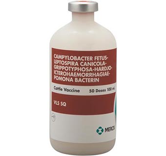 BOVILIS® VL5 SQ 100 ML (50 DOSES)