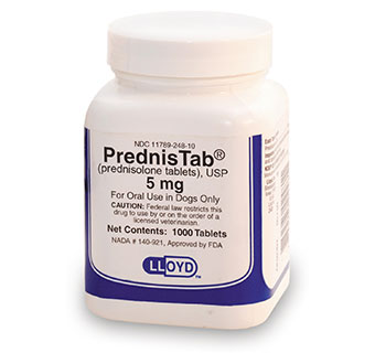 PREDNIS (PREDNISOLONE) TABLET 5MG 1000 COUNT RX