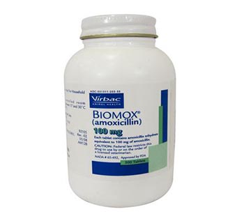 BIOMOX® (AMOXICILLIN TABLETS) 100 MG 500/BOTTLE (RX)