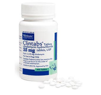 CLINTABS® ORAL ANTIBIOTIC 25 MG 400/BOTTLE (RX)
