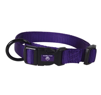 HAMILTON® FAL CLASSIC ADJUSTABLE DOG COLLAR NYLON 18 - 26 IN X 1 IN PURPLE