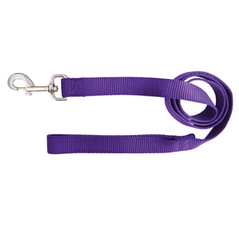 HAMILTON® SLO NYL SGL THICK LEASH WITH SWIVEL L 1 IN X 4 FT PURPLE