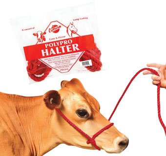 POLY PRO COW HALTER WITH NOSE BAND 1/2 IN X 13 FT RED