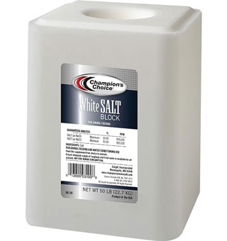 CHAMPION'S CHOICE® PLAIN SALT BLOCK 99.9% 50 LB