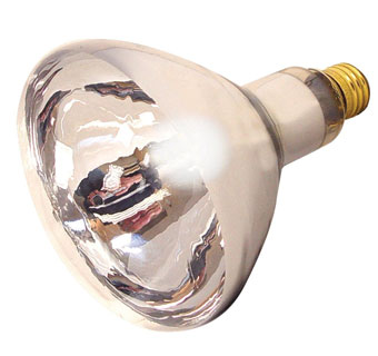 REFLECTOR INCANDESCENT HEAT LAMP CLEAR R40 125 W