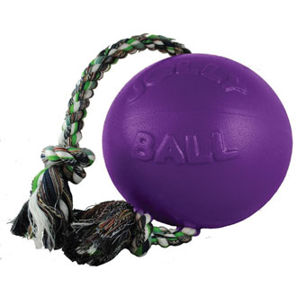 JOLLY PETS® ROMP-N-ROLL JOLLY BALL L 8 IN PURPLE