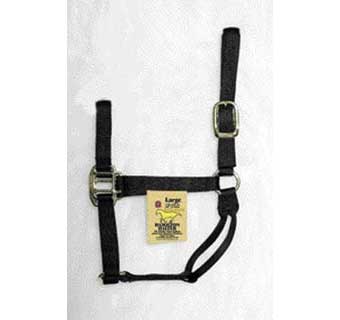 HAMILTON® HORSE HALTER AVERAGE 1 IN NYLON BLACK