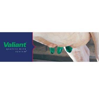 VALIANT® BARRIER TEAT DIP 15 GAL DRUM