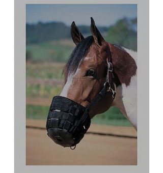 GRAZING MUZZLE WITH CROWN S 5-1/2 IN D