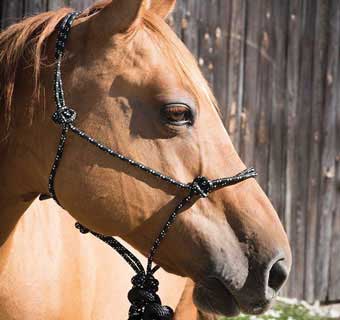 EQUI-SKY POLY MOUNTAIN ROPE HALTER WITH LEAD 5/16 IN X 7 FT BLACK/WHITE