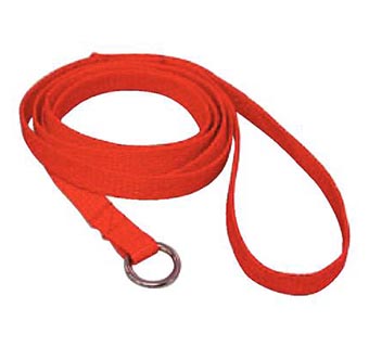 SLIP LEASH - 48IN - ASSORTED COLORS