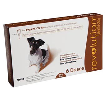 REVOLUTION® CANINE 10.1-20 LB – BROWN 6/PKG (RX)