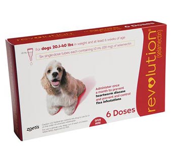 REVOLUTION® CANINE 20.1-40 LB – RED 6/PKG (RX)
