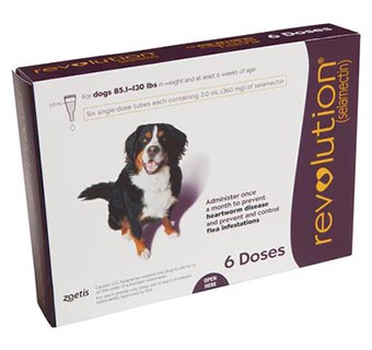 REVOLUTION® CANINE 85.1-130 LB – PLUM 6/PKG (RX)