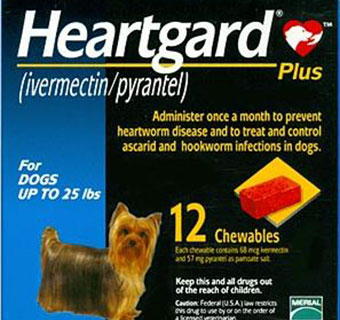 HEARTGARD PLUS CHEWABLES K9 0-25LB 12 DOSES 5 BOX/CARTON (SOLD IN HAWAII ONLY)