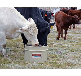 PASTURE 21 (NRP) - 250LB - EACH