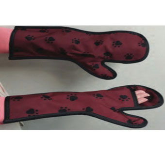 X-RAY GLOVE MAROON