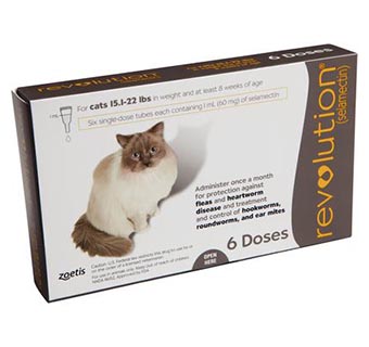 REVOLUTION® FELINE 15.1-22 LB – TAUPE 6/PKG (RX)