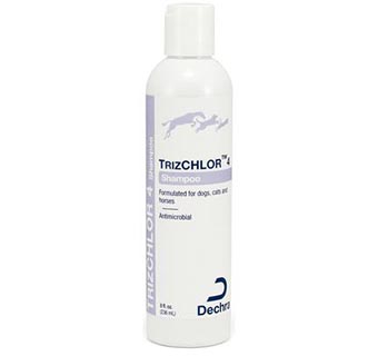 TRIZCHLOR™ 4 SHAMPOO 8 OZ