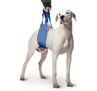 FOUR FLAGS OVER ASPEN QUICK LIFTS™ LARGE (31-90 LB)