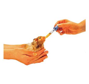 GLASS EYE DROPPER 5/PKG