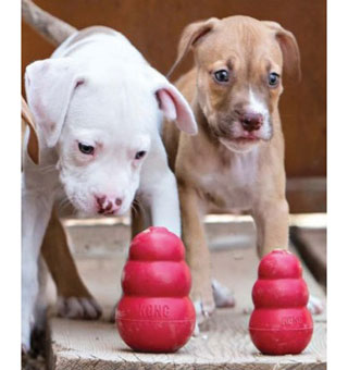 KONG® CLASSIC DOG TOY WOBBLER XL 5-1/2 IN W X 8-1/2 IN H X 3-1/2 IN D RED