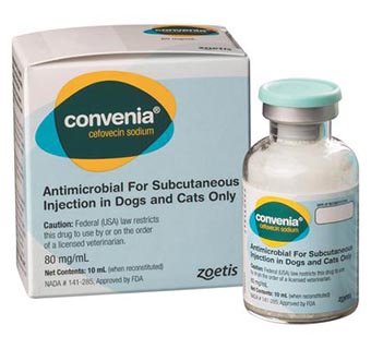 CONVENIA® 10 ML VIAL (RX)