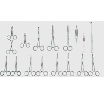 17-PIECE CANINE SPAY PACK GERM STAINLESS STEEL