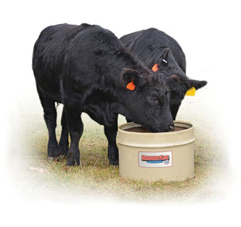 SMARTLIC® FLAXLIC® ANIMAL FEED SUPPLEMENT 12% PROTEIN 250 LB