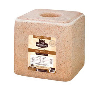REDMOND SELENIUM 90 SALT BLOCK 44 LB