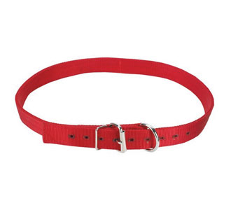 HEAVY-DUTY CATTLE COLLAR NYLON XL 50 IN X 1-1/2 IN RED