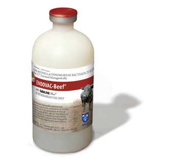 ENDOVAC BOVI BEEF 200ML/100DS